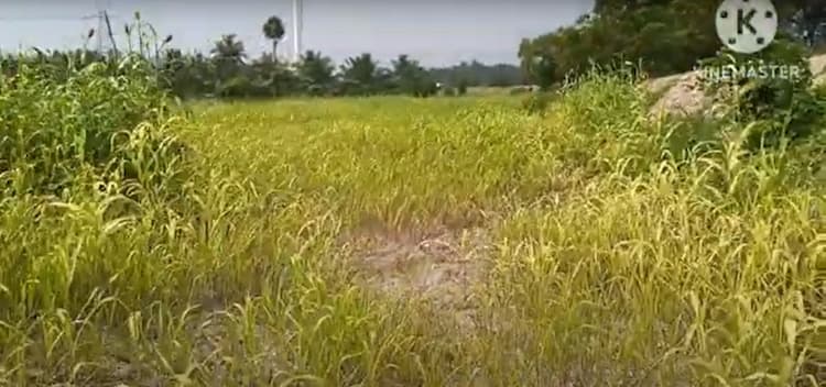 70 Cent Land for Sale