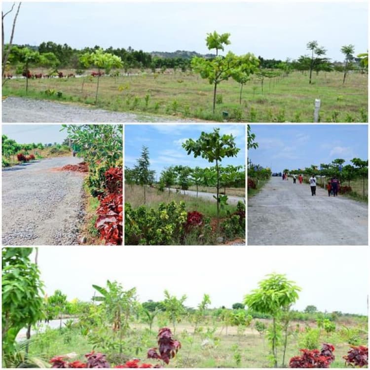 Plot sale