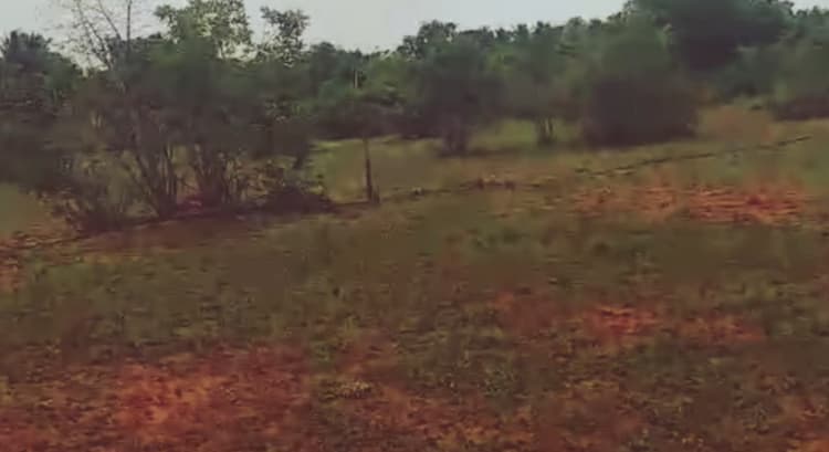 Low Budget Farm Land for Sale