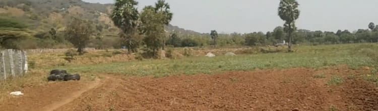 4.80 Acres Farm Land for Sale