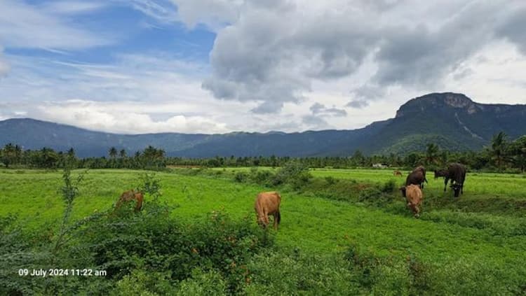 Single Property Image