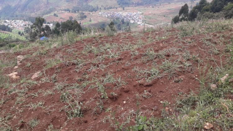 4 Acre land for sales