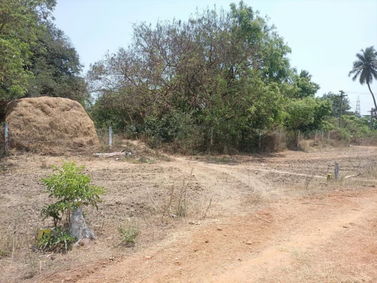 Residential Plot