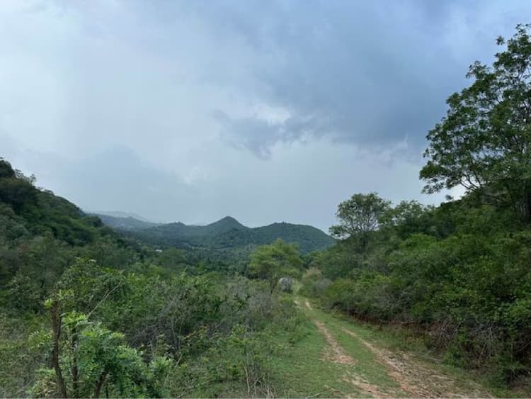 Single Property Image