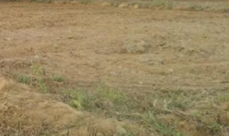 Land for sales
