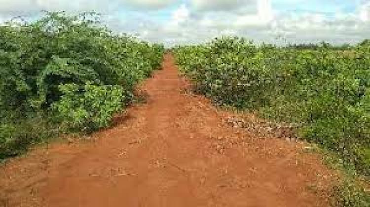land for sale