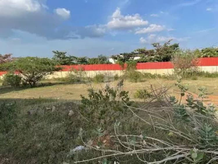 Plot sale