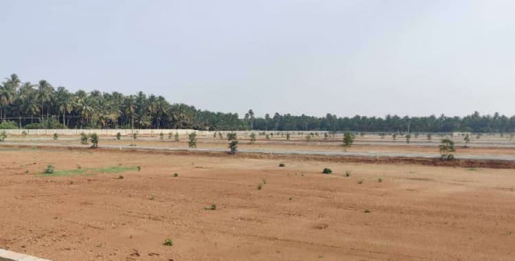 Land for sale