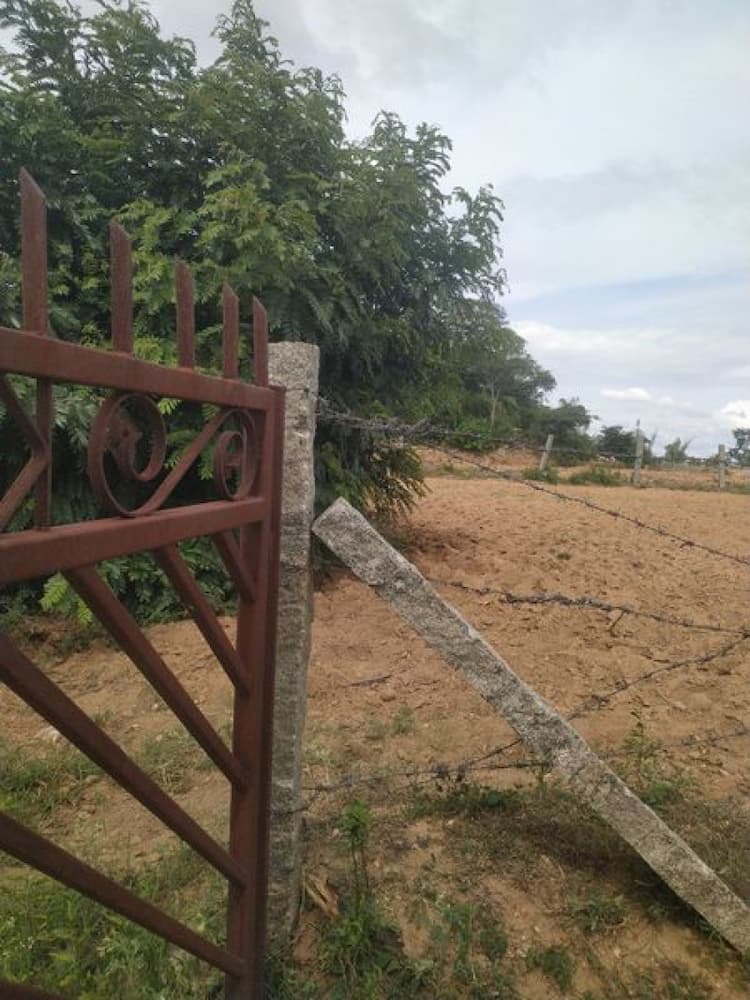 Land sale