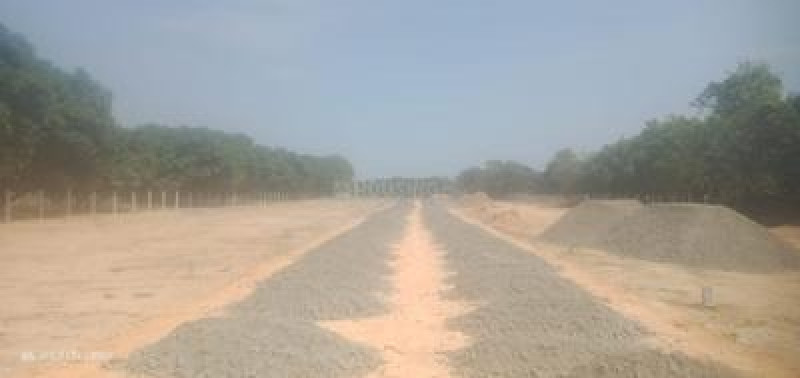 Residential Plot