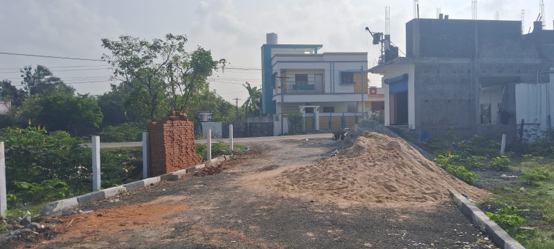 Lalitha Avenue