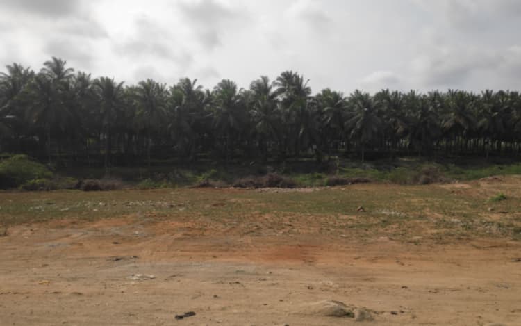 Land for sale