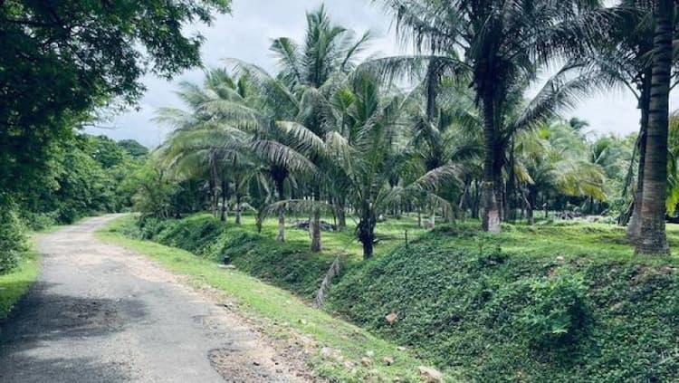 Single Property Image