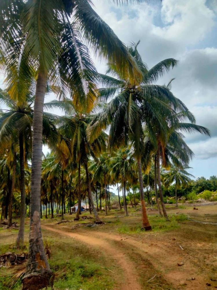 Single Property Image