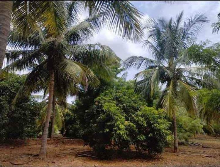 Single Property Image