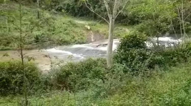 Farm Land For Sales