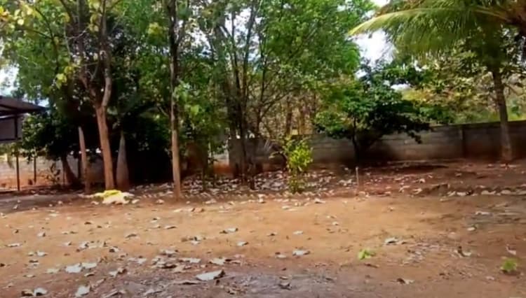 Land for sales