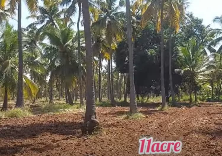 land for sales