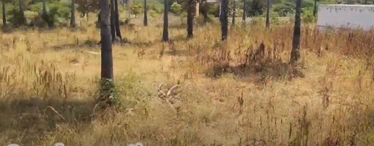 Land for sales