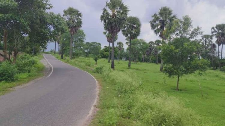 Single Property Image
