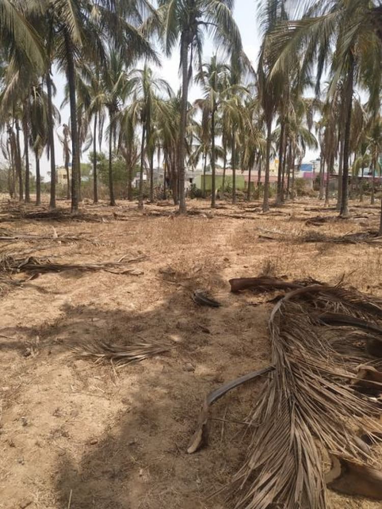 land sale