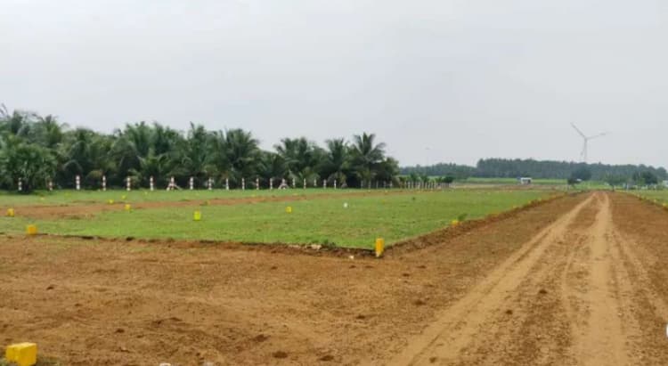 Land for Sale