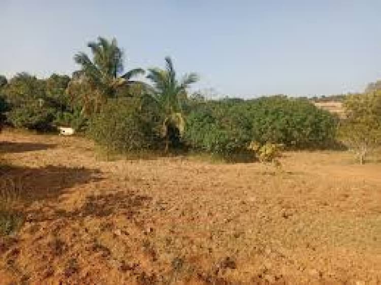 Plot sale