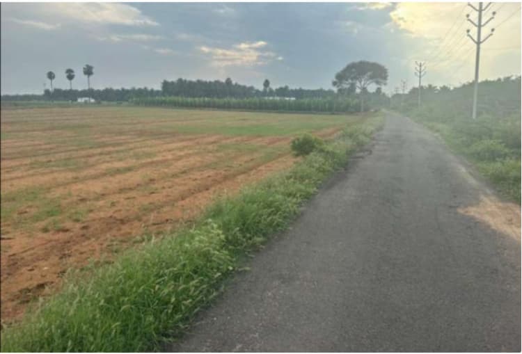 Agriculture Farm land for Sale