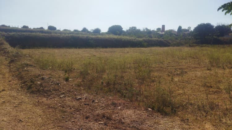 Agricultural Land