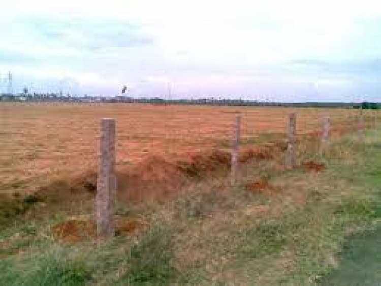 Plot sale