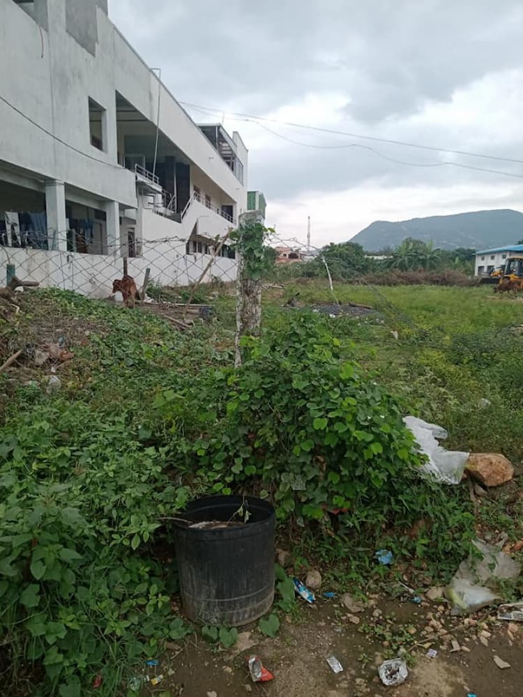 Single Property Image
