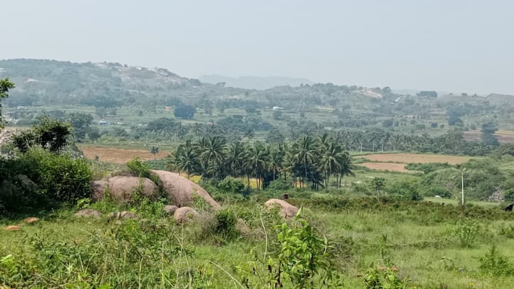 Agricultural Land 