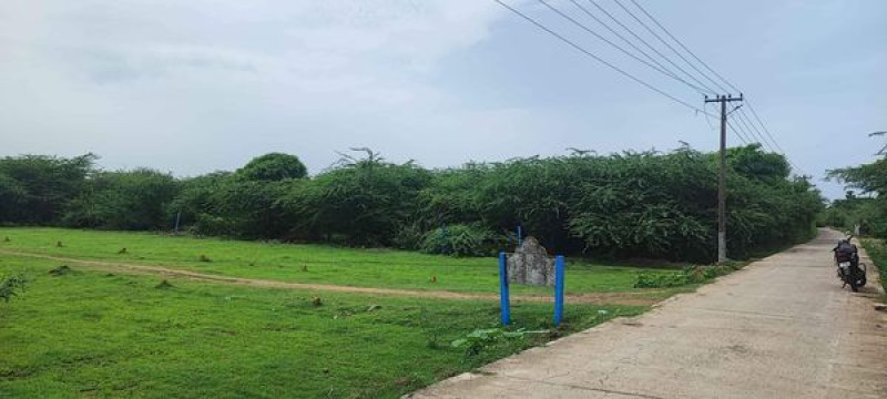 Plot sale