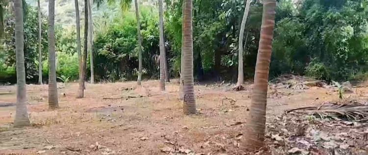Land sale