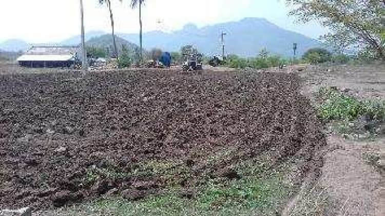 Agri Land For Sale