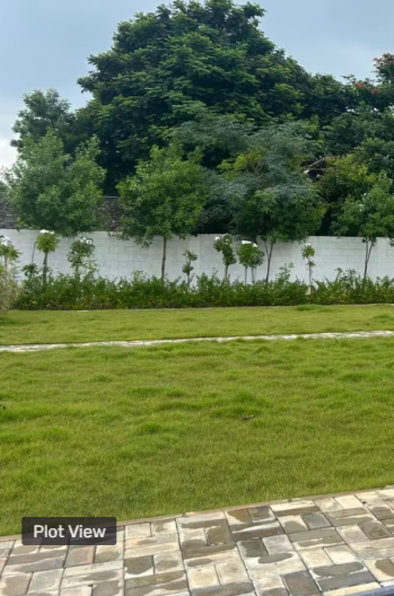 plot for sale 