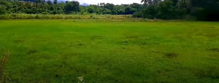 Land for sales