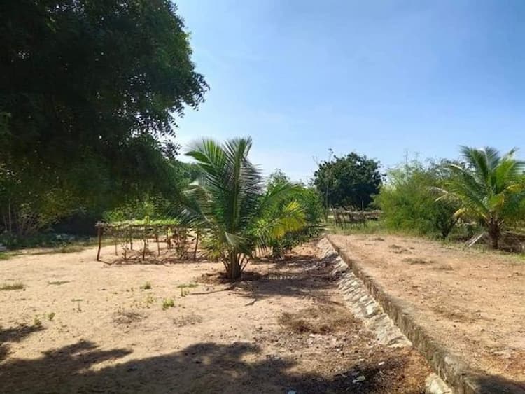 Land for sale