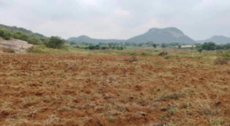 Land for sales