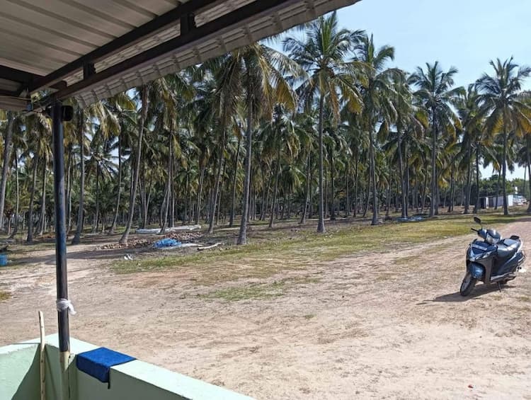 coconut land for sale