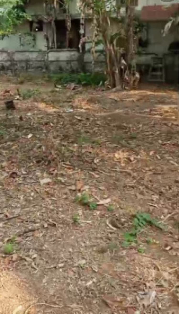 land sale