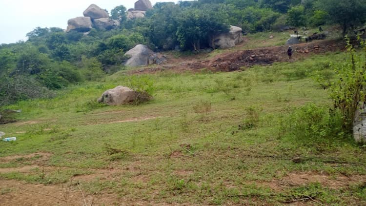 Agricultural Land