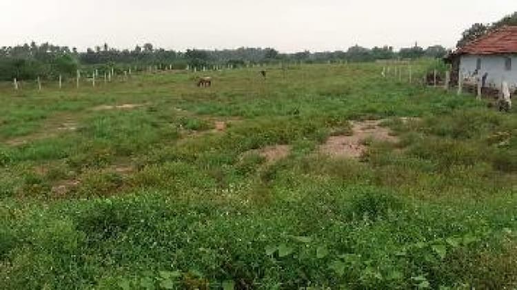 farm land sale