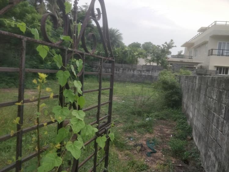 Plot sale
