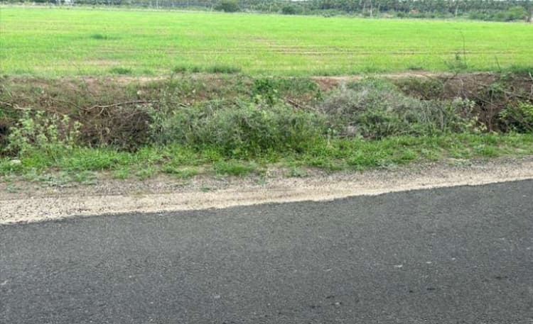 plot for sale 