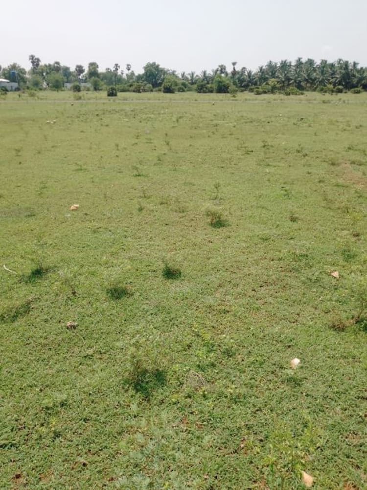 9 acres LAND for sale