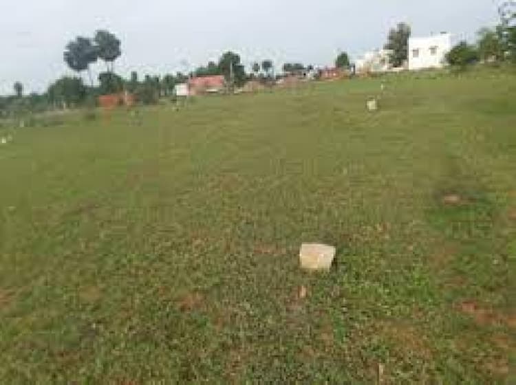 Plot sale