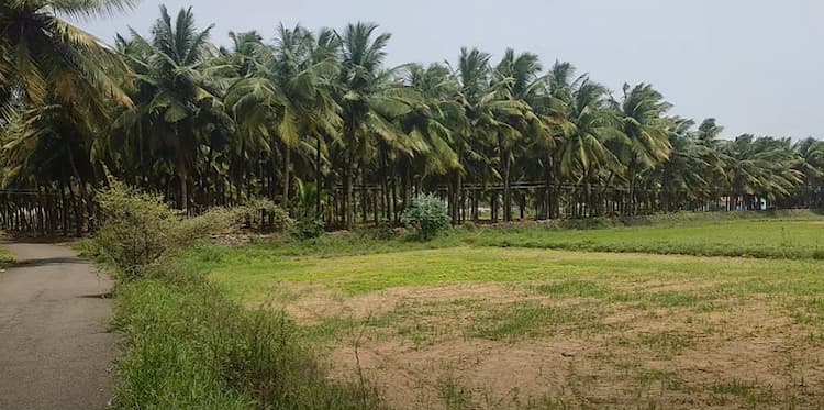 Land for Sale