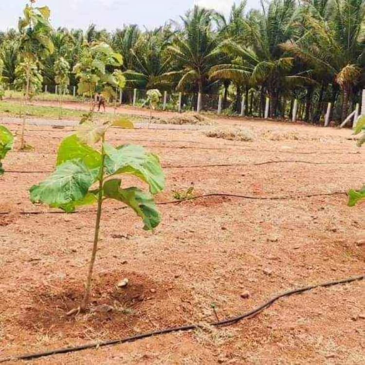 Single Property Image