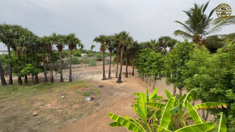 farm land for sale 